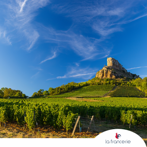 Pouilly-Fumé: L'Eleganza del Sauvignon Blanc