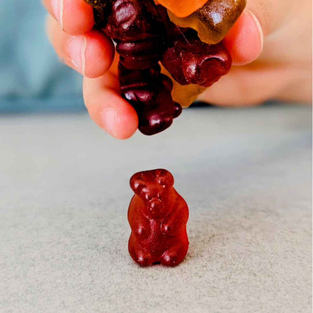 Bonbons a forma di Orsetti