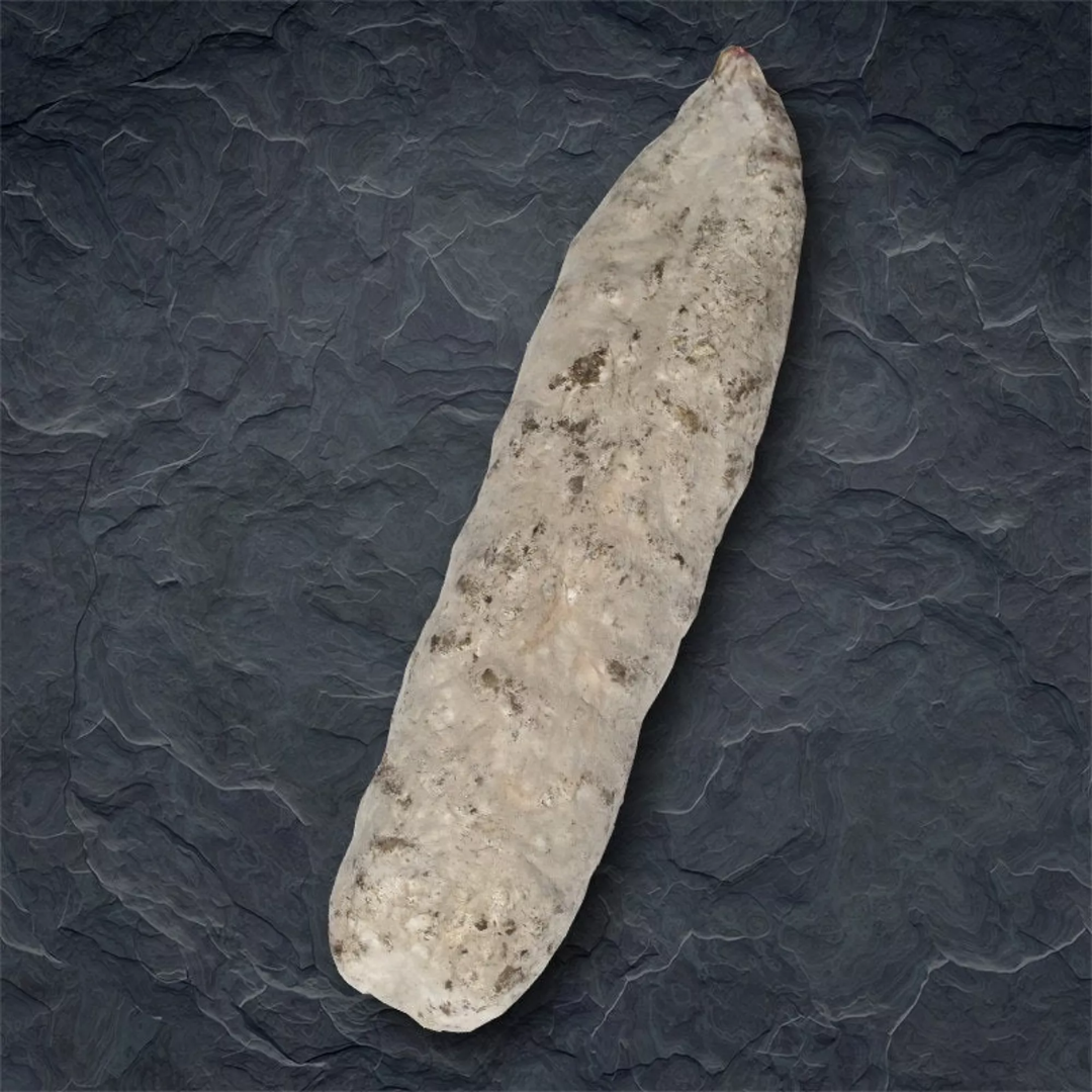 Salame secco delle Cévennes