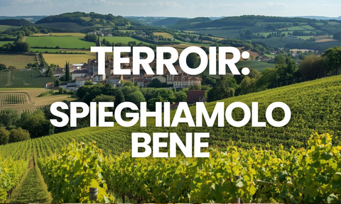 Perché i francesi parlano sempre di terroir?