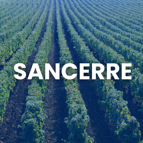 Vino Sancerre: Perché il Sauvignon Blanc della Loira è Così Amato