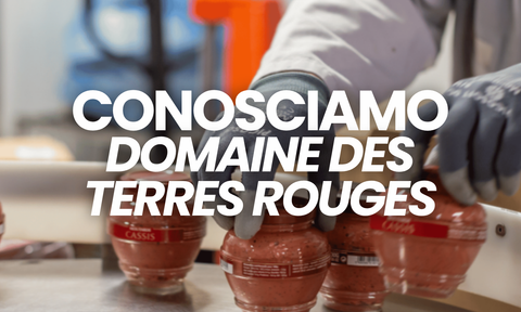 Domaine des Terres Rouges: storia di una moutarderie francese
