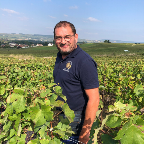 Champagne Le Terroir -  B. Gabriel - Extra Brut