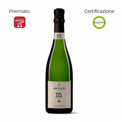 Blanquette de Limoux AOC - Méthode Ancestrale - Domaine Antech