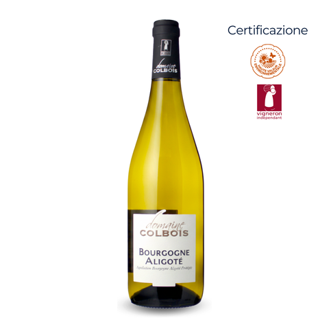 Bourgogne Aligoté AOP - Domaine Colbois - 2024