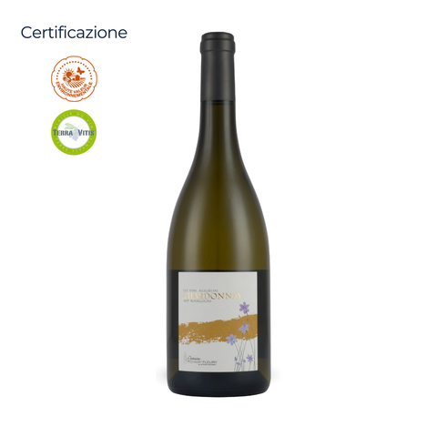 Bourgogne AOC - Chardonnay Blanc - Domaine de Champ-Fleury - 2023