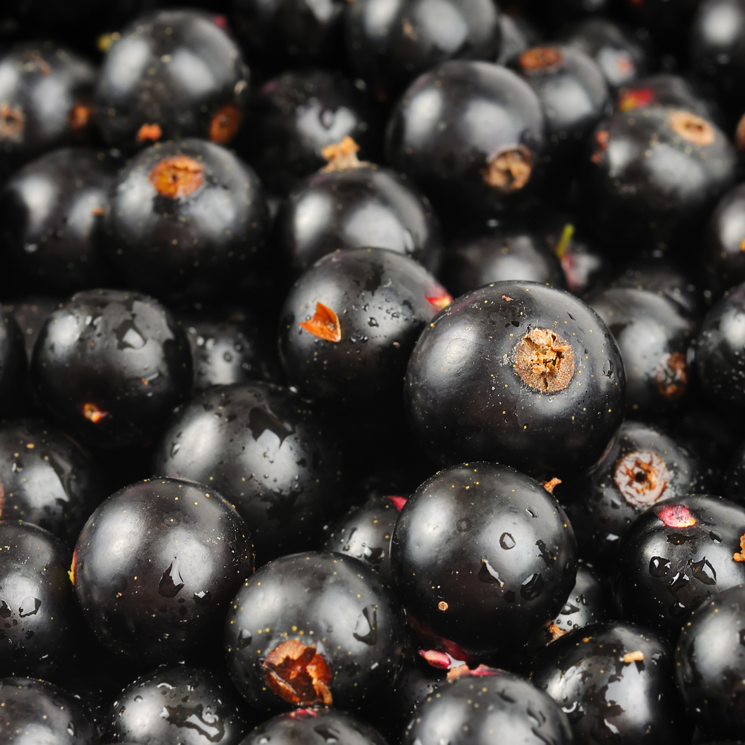 Confettura BIO di Ribes neri 100% francesi