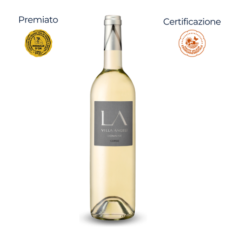 Corse AOP - Villa Angeli Blanc - 2024