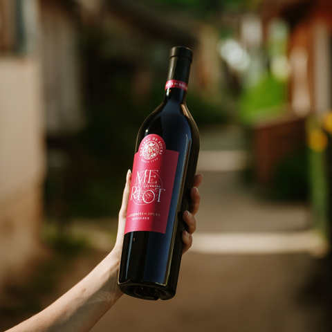 AOP Bordeaux - Les Essences Merlot Gourmand - Chateau De Sours - 2022