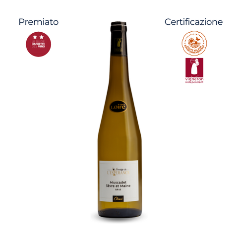 Muscadet Sèvre et Maine AOC - Sur Lie Prestige - Domaine de L’Espérance - 2024