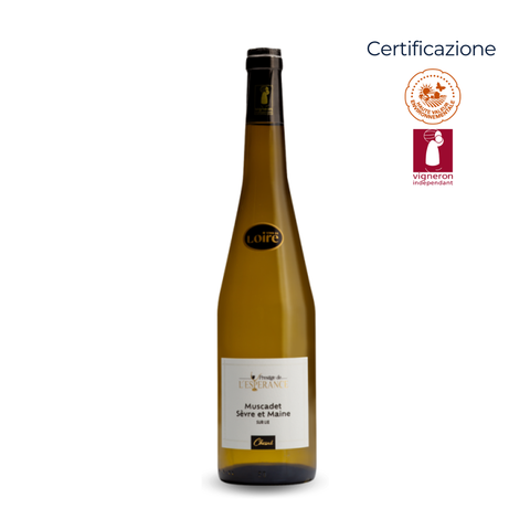 Muscadet Sèvre et Maine AOC - Sur Lie Prestige - Domaine de L’Espérance - 2025