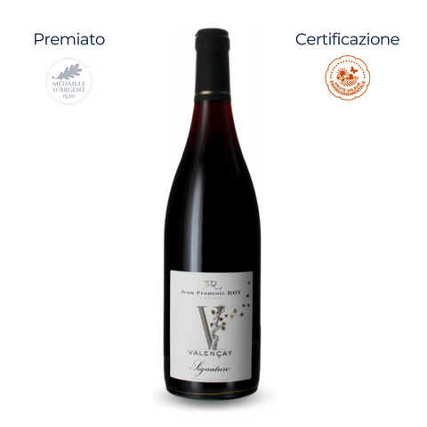 Valençay AOC - Signature - Domaine Jean-François Roy - 2023